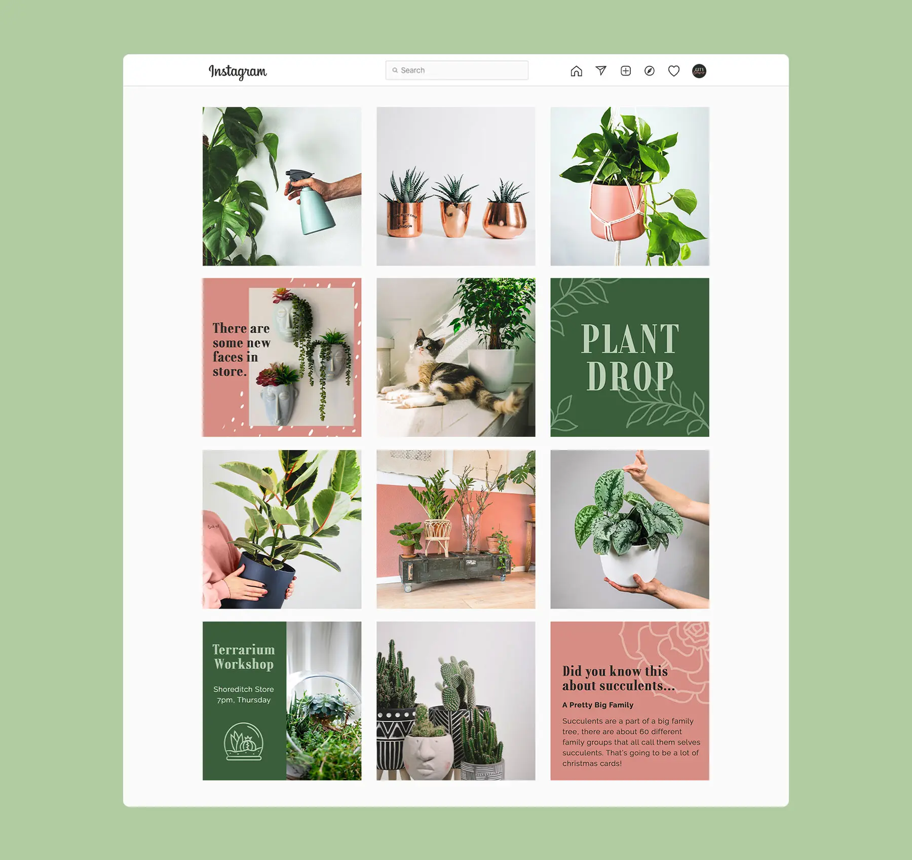 CityOasis_SocialGrid City Oasis instagram grid